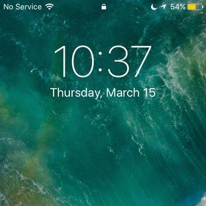 Meet your Posher, Billy